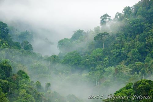 Le parc national de Kaeng Krachan